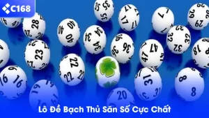 lô đề bạch thủ