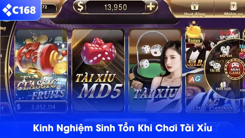 Kinh nghiệm sinh tồn khi chơi tài xỉu được cao thủ truyền lại